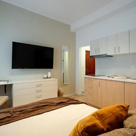 Stylish Urban In The Heart Of The 公寓 布加勒斯特